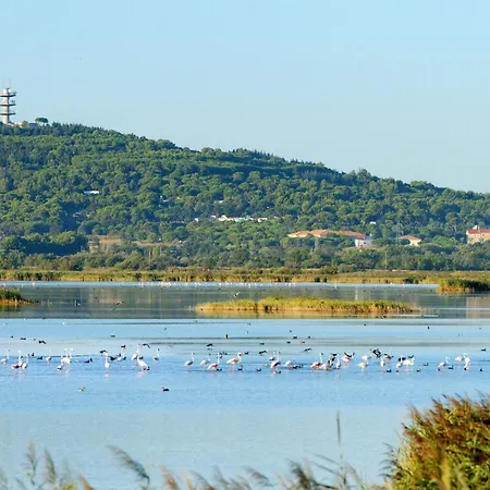 Port La Roquille By Interhome Apartment Agde
